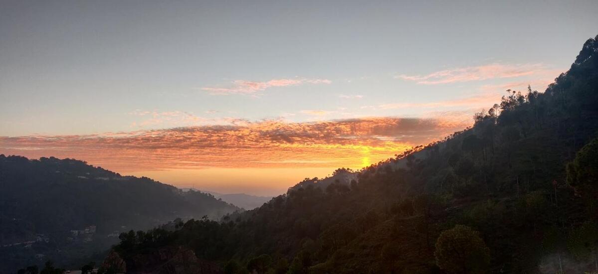 2Bhk Furnished Apartment/Near Kasauli/Barog/Luv Fun & Adventure 솔란 외부 사진