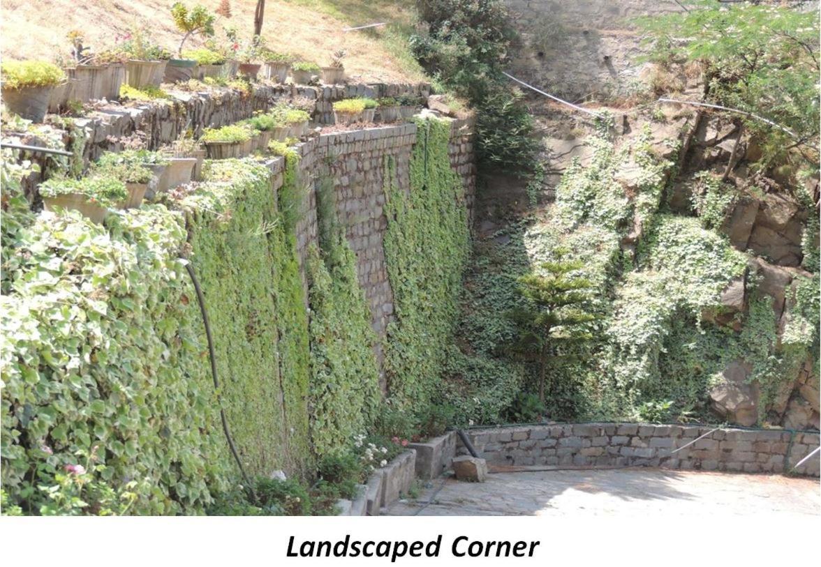 2Bhk Furnished Apartment/Near Kasauli/Barog/Luv Fun & Adventure 솔란 외부 사진